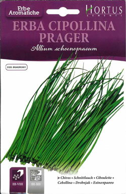ユリ科 多年草 （BR> 　　　　　　　　 ●種まき3〜5月 ●収穫 3〜12月 ●種　6月 【栽培】やや乾燥気味で,涼しい場所を選び,肥沃な土に 6〜8粒の点蒔きか,育苗ポット蒔きにし,土かけは3mm程度 とします。間引きを重ね,草丈が8〜10cm位で5〜6本にまとめ 約25cm間隔に植え付け有機肥料を混ぜ込んだ土で,土寄 せをします。1年目は株を育て,2年目草丈が15〜20cmに 成長したら根元から3〜5cm程度を残して晴天日に収穫します。(雨天は切り口から雨水等で 花が咲くと葉が硬くなり食味も低下し,蕾に内に摘み取ります。 年に5〜6回の収穫が可能です。 盛夏の高温と乾燥防止と,冬期の霜柱が立つところでは,株元に 腐葉土やワラ等で覆い守ります.コンテナでの寄せ植花壇の 縁どり,ドライフラワーにと,手軽に観賞用としても楽しめます。 ☆利用法☆ フレッシュハーブミックスとして、チャイブ、パセリ、 タラゴン、チャービルなどを細かく刻んでスープのうきみ として、サラダ、卵料理、肉魚介料理の風味付けにも欠かせない キッチンハーブの代表的な一つです。 アサツキのように使えば和風料理にも良く合います。 ■生産地　イタリア　内容量　1g 　発芽率70％