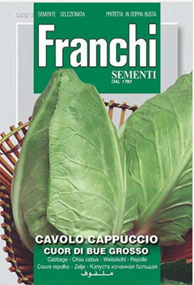 【イタリアの野菜の種】FRANCHI社 エアルームキャベツ CUOR DI BUE GROSSO DBO26/3