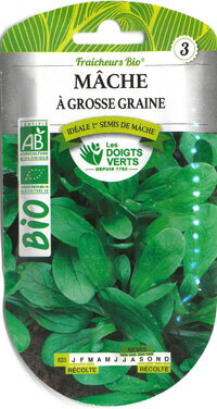 ◆種まき:8-10月（発芽適温15-20℃) ◆収穫：9-11月 ◆粒量：3g ◆発芽率：93％ 早生種、秋収穫に向く品種です。 葉もクセがなく、ベビーリーフサラダや 肉魚料理の付け合せ、スープの浮き身など 何にでも使えます。 フランス人が大好きなグリーンリーフで、 寒い冬のマルシェにもバスケットに青々とした 山盛りいっぱいのマーシュが売られています！