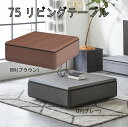 75リビングテーブル インテリア おしゃれ センターテーブル 収納 【送料無料】(北海道・東北・沖縄・離島は別途見積) マラソン 新生活 大川 木工祭
