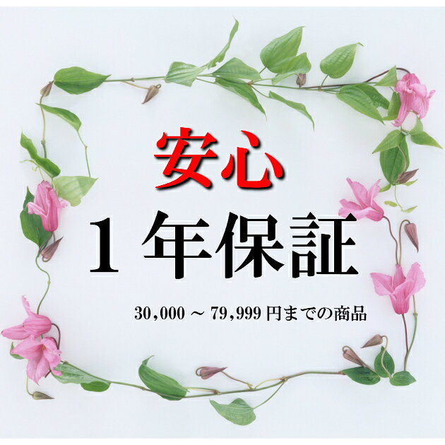 Rakuten - 1年保証