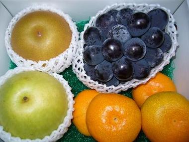 おいしい産地を選んだ旬のおまかせメニュー9月のおまかせセットミニ