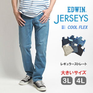 GWָ10%OFFۡ礭ۥɥ 㡼 äѥ 쥮顼ȥ졼 ȥå (JMH03C) ä ǥ˥ ղ ®  奢 ӥ ֥ EDWIN ̵