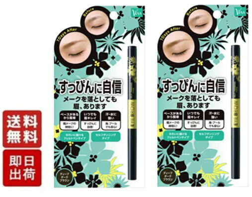 ビナ薬粧 セルフ タンニング アイブロウ ST ディープダークブラウン ×2個 眉墨 眉 まゆ 眉毛 まゆげ 自然 落ちない 汗 皮脂 ペンシル カラーコート成分