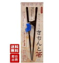 イシダ きちんと箸 ブルー 23cm ×1 矯正箸 大人用 小学生 子供 矯正 箸 大人 しつけ箸 日本製 右利き用 ちゃんと箸 おとな用 若狭箸 はし ハシ トレーニング箸 おけいこ箸