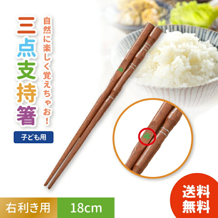 イシダ しつけ箸 三点支持 子供用 18cm 右利き用 天然木のサムネイル