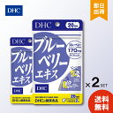 DHC ブルーベリーエキス 20日分 40粒入 ×2 DHC サプリメント ダイエット 健康 サプリメント その他サプリメント プレゼント ギフト ビタミン ミ...