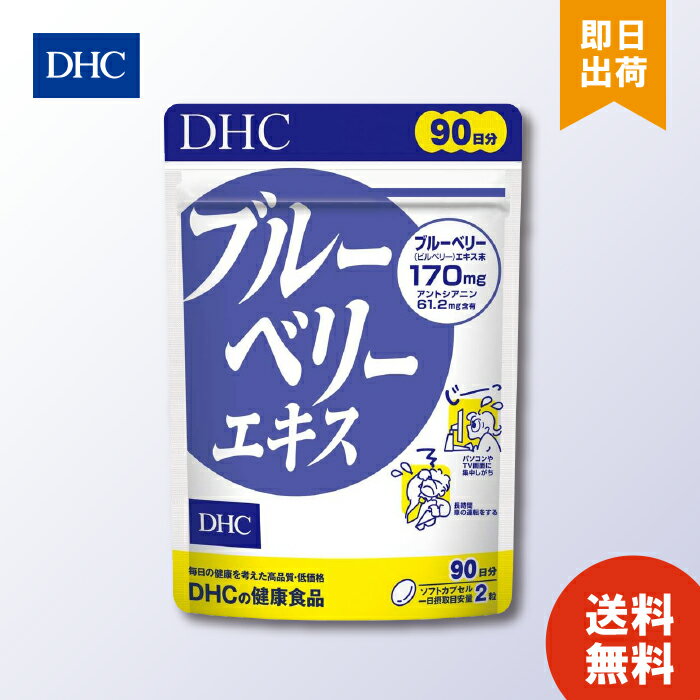 DHC ブルーベリーエキス 徳用 90日分 