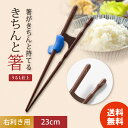 イシダ きちんと箸 ブルー 23cm ×1 矯正箸 大人用 小学生 子供 矯正 箸 大人 しつけ箸 日本製 右利き用 ちゃんと箸 おとな用 若狭箸 はし ハシ トレーニング箸 おけいこ箸