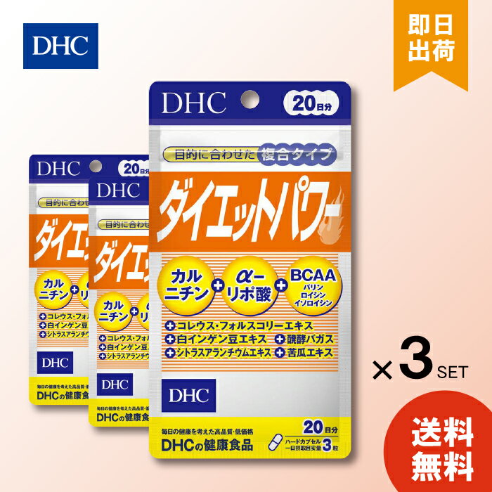 DHC　ダイエットパワー 60粒 20日分 ×3 ディーエイチシー dhc カルニチン α-リポ酸 BCAA バリン ロイシン イソロイシン コレウスフォルスコリ 白インゲン豆