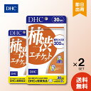 DHC 柿渋エチケット 30日分 ×2 サプリメント サプリ ディーエイチシー 健康食品 におい 柿渋 ニオイ 匂い 臭い 柿渋サプリ 加齢臭対策 柿タンニン 送料無料