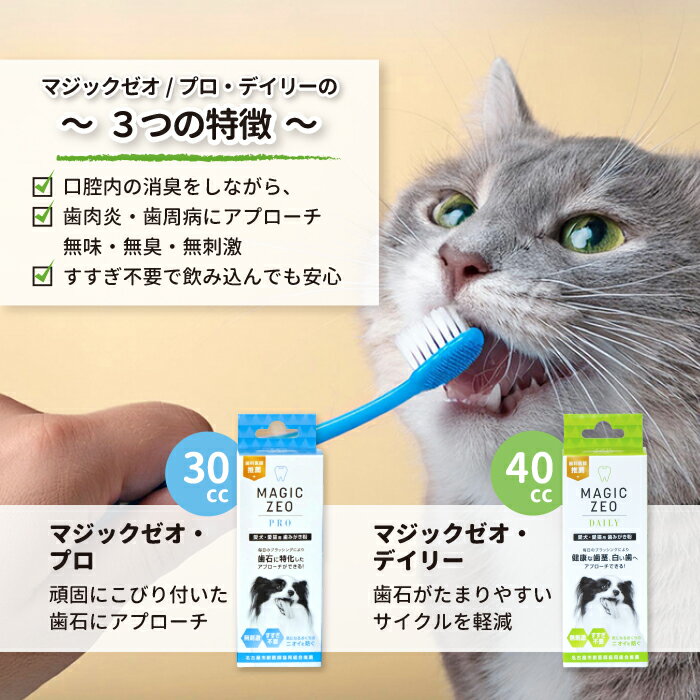 �����٤�2���� / ��ӥ塼��300��off�� �ޥ��å� �����ץ� �����ǥ��꡼ 40cc ���ʰ�ճ�ȯ �������λ��н��� �ǥ󥿥륱���ˤ������� �� ǭ ���β��Ф� ���� ���� ���� ���᤭ʴ ���м�� �ڥå��� EDOG JAPAN