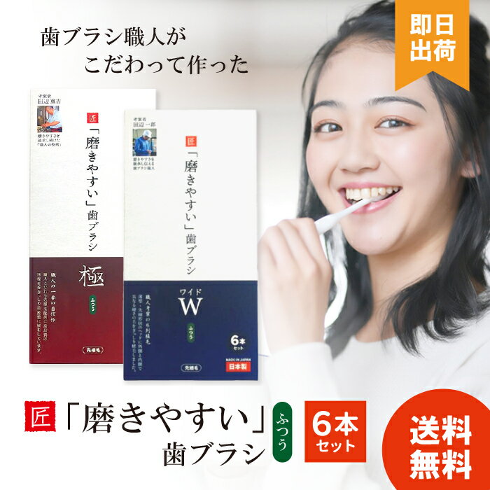 【最安値への挑戦/ 選べる種類】磨きやすい歯ブラシ ワイド 極 ふつう 先細毛 ライフレンジ 薄型 6列植毛 先細形状ヘッド ブラッシング LT-56 LT-5...