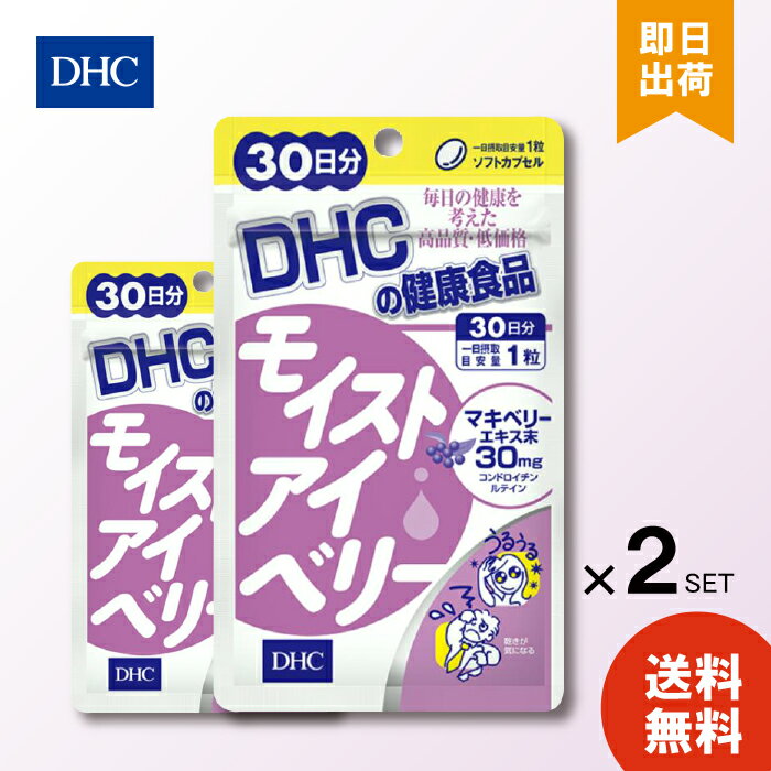 DHC ブルーベリーエキス 60日分(120粒入*2コセット)【DHC サプリメント】