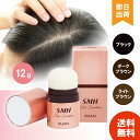 【選べる3種類 / レビューで300円off】 SMH ヘアファンデーション 12g ( No.1ブラック / No.2ダークブラウン / No.3ライトブラウ...