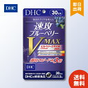 DHC dhc 速攻ブルーベリー V-MAX 30日分 サプリメント アスタキサンチン ビルベリー メグスリノキ ルテイン ブルーベリー ルティン 目 目のサプリ