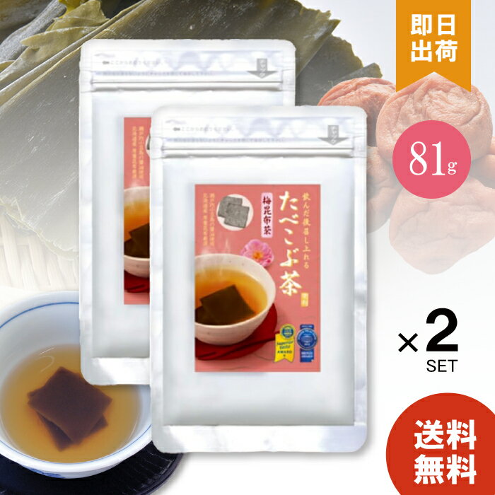 【マラソン限定!最大2200円OFFクーポン配布中!】ニットーリレー スティック 梅こんぶ茶 2g×100本 日東食品工業