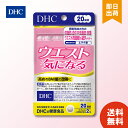 DHC dhc ウエスト 気にな