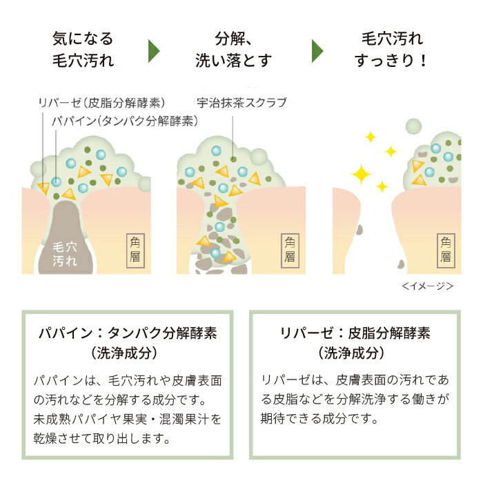 【まとめ買いでお得】 ワフードメイド UM洗顔パウダー 0.4g 30包宇治抹茶 酵素洗顔 抹茶の香り 酵素洗顔パウダー 3