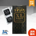 【選べる個数 / レビューで300円off】 コンドーム うすぴたXL Rich 12個入り リッチ うすぴた 大きいサイズ ラージ 避妊具 スキン こんどーむ...