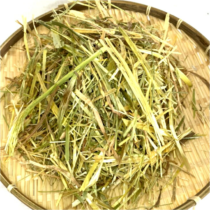 H���å� ���⥷�� �������Τ��� ���������� ����¾��ưʪ 1�ִ����֥�ץ쥹 �����ĥإ� ��1�ѥå� ����å������� 600g ���������⥷�� �������� ���� ���������� �������� �������Τ��� �ڥåȤ��� ���Ϥ� �ڥåȤ��� ������� ������� ����åȱ� ���⥷�����ִ���