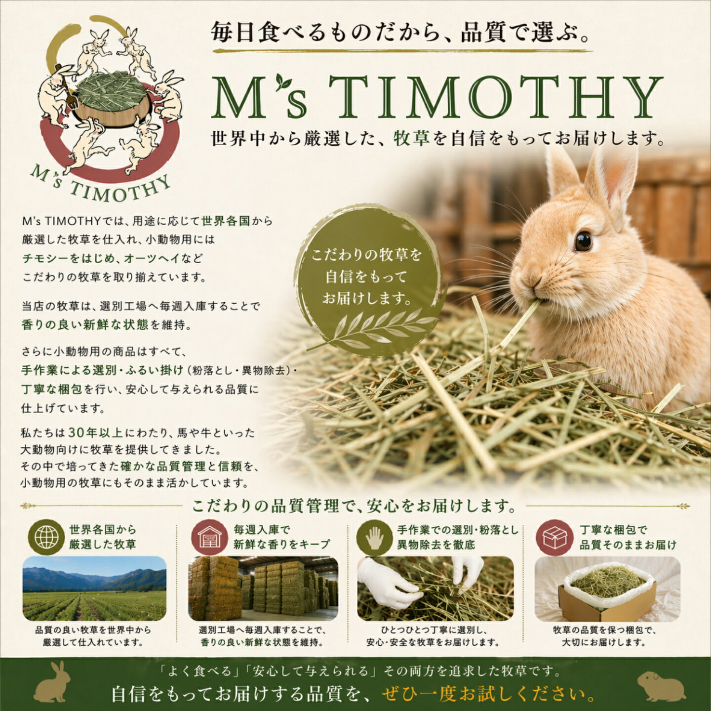 Ms TIMOTHYの【Eセット】 チモシー カナダ産 ダブルプレス お試し 600g 1番刈り 牧草 令和7年度 うさぎ モルモット デグー 初心者セット M's TIMOTHY｜アングル3