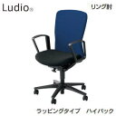 UCHIDA (cmsEE`_) fBI`FA (Ludio) bsO^CvEnCobNO^IEiCLX^[ LA2-330W 5-307-431 yz