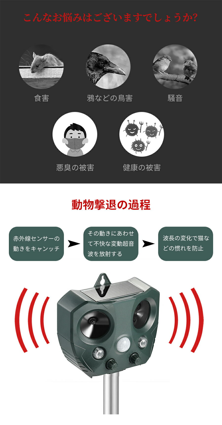 ��1ǯ�ݾ��դ���ǭ �� �� �к� ǭ�褱 Ķ���� ưʪ����� �� �����顼�� ǭ���� �ɿ� ���ൡ ǭ���� ǭ�� �ͤ��褱 Ļ�褱 ������� ��� ���� �����顼 ���󥵡� �ͤ��褱 ���å� Ļ�� ����ǭ