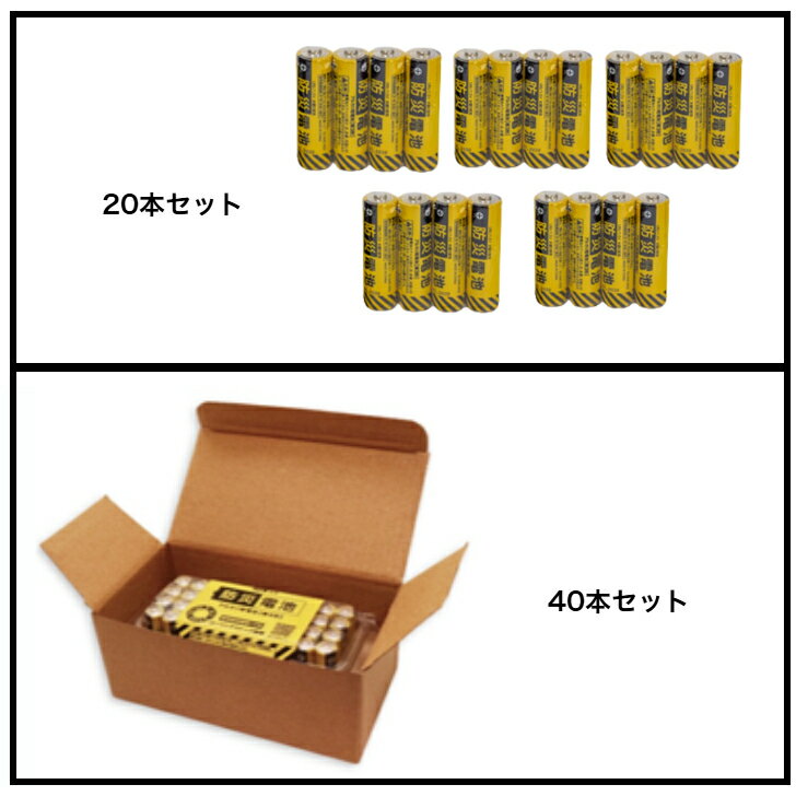 EVOLTA単3 2個パック ブリスター LR6EJ/2B 1P【厨房館】