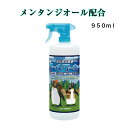 クールワーカー メンタンジオ...