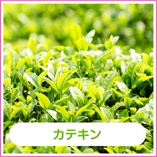 プラスビューティー