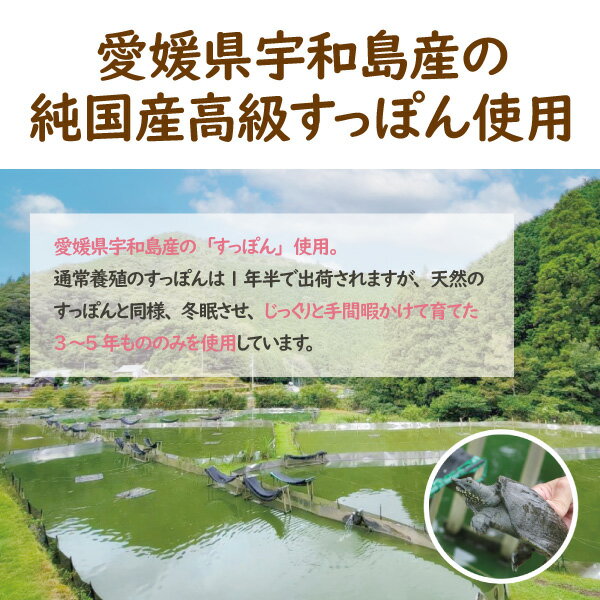 すっぽん 粉末 150g スッポン 愛媛県産 宇和島 滋養強壮 健康食品 スープ 材料 コラーゲン すっぽん100％使用 高タンパク 本格すっぽん料理 3年以上育てた国産すっぽん（※すっぽん商品以外との同時購入不可）