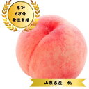 【送料無料】【先行予約】 【日付指定】山梨県産 桃 1kg 1.8kg 2kg 3kg お中元 ギフト 贈り物 贈答用 高級 フルーツ 朝採れ くだもの 果物 ...