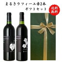  山梨県 ワイン 赤 2本 ワインセット 勝沼 750 ml × 2本 飲み比べ プレゼント 母の日 お祝い 結婚 昇進 就職 退職 内 祝い 記念日 古希 贈答用 ギフト特集 お酒 国産 山梨 まるき葡萄酒 熨斗 ラフィーユ アッサンブラージュ 甲斐ノワール