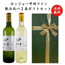 【送料無料】【のし対応】山梨県 甲州 ワイン セット 勝沼 720 ml × 2本 飲み比べ プレゼント 母の日 お祝い 父の日 結婚 昇進 就職 退職 内 祝...