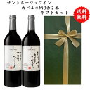 【送料無料】【のし対応】山梨県 ワイン セット 750 ml × 2本 飲み比べ プレゼント 母の日 お祝い 父の日 結婚 昇進 就職 退職 内 祝い 記念日 ...