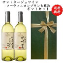 ワイン飲み比べセット 【送料無料】【のし対応】山梨県 甲州 ワイン セット 750 ml × 2本 飲み比べ プレゼント 母の日 お祝い 父の日 結婚 昇進 就職 退職 内 祝い 記念日 古希 贈答用 ギフト特集 お酒 国産 山梨 サントネージュ 熨斗 山梨市 白ワイン 甲州樽熟 ソーヴィニヨンブラン