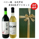 【送料無料】【のし対応】山梨県 甲州 ワイン セット 720 ml × 2本 飲み比べ プレゼント 母の日 お祝い 父の日 結婚 昇進 就職 退職 内 祝い 記...