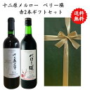【送料無料】【のし対応】山梨県 ワイン セット 720 ml × 2本 飲み比べ プレゼント 母の日 お祝い 父の日 結婚 昇進 就職 退職 内 祝い 記念日 ...