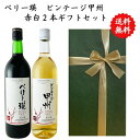 【送料無料】【のし対応】山梨県 甲州 ワイン セット 720 ml × 2本 飲み比べ プレゼント 母の日 お祝い 父の日 結婚 昇進 就職 退職 内 祝い 記...
