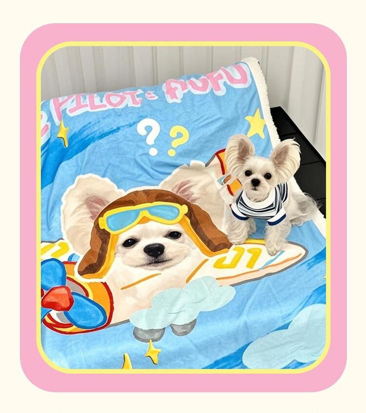 【送料無料】オリジナルブランケット 写真入り シープボア ペット 毛布 ボアブランケット ひざ掛け ブランケット かわいい柄 秋冬 オフィス 昼寝 厚手 3