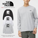 【THE NORTH FACE ザ ノースフェイス】 ロンT Tシャツ 長袖 ロゴ ザノースフェイス メンズ 国内正規品 インポート ブランド 海外ブランド アウトドアブランド NT32343