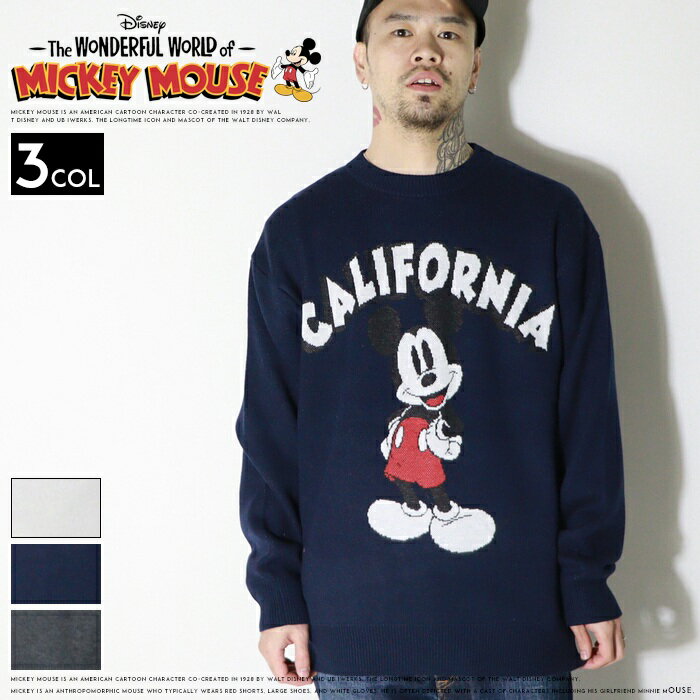 2025ǯ ߿ ƥХ ߥåޥ ǥˡ ˥å  롼ͥå 㥬 ɴ ݲ Ĺµ С ӥå ...