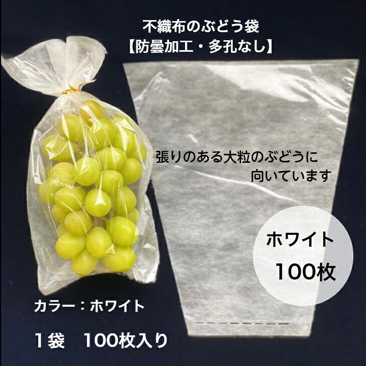 楽天市場】ぶどう 出荷 箱の通販