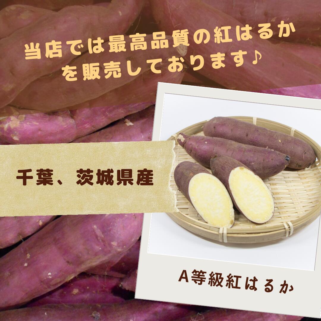 最高級 おいも屋さんのさつまいも 紅はるか A品 Mサイズ 使いやすい 千葉 茨城県産 しっとり焼芋 美容 健康 ダイエット 選べるサイズ