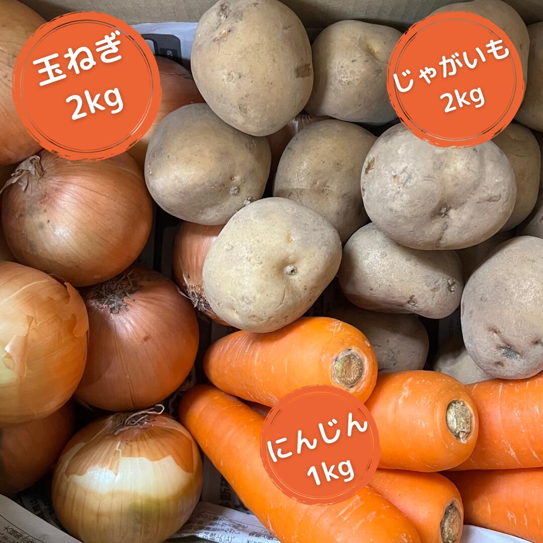 【ふるさと納税】カラフルピクルス～選べる2個セット～