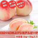 桃 山梨県産 もも 糖度12度以上 プレミアムピーチ 選べるサイズ 季節限定 ギフト 贈答用など フルーツ 果物