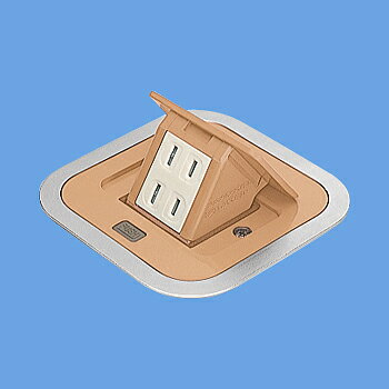 パナソニック DU1300F 住宅用F型アップコン角型 2コ口 ナチュラルバーチ 2P 15A 125V