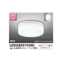 東芝 LEDG85915(W) LED屋外小形シーリング 防雨形 蛍光灯30W相当 ランプ別売 『LEDG85915W』