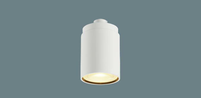 Rakuten - パナソニック LLD2400LCB1 LEDコンパクトランプ 電球色 拡散タイプ 調光器対応 φ45